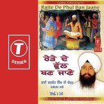 Raite De Phul Ban Jaane - Bhai Darshan Singh Ji Song Download